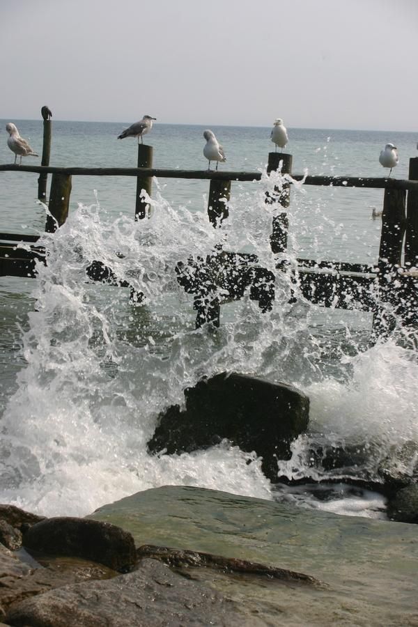 Ostsee Rügen