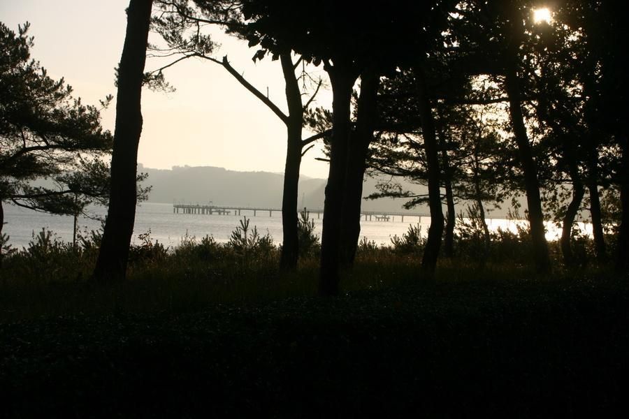 Morgenstimmung Strand Binz