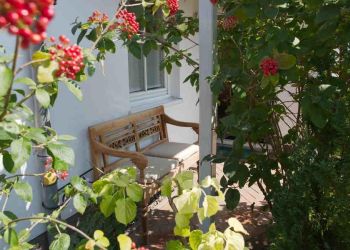 Ferienwohnung Binz Terrasse